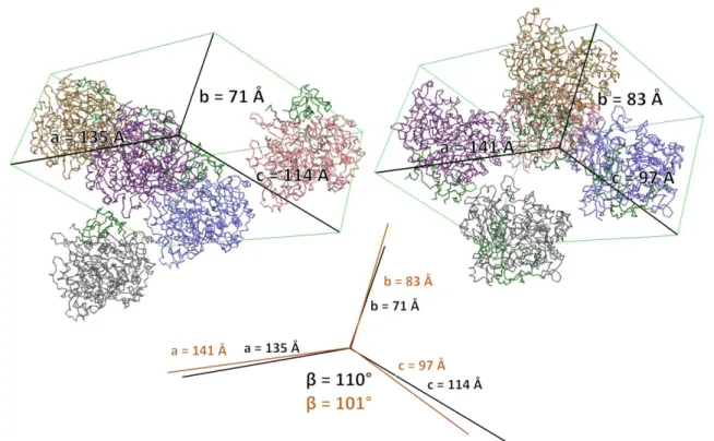 Figure 3.4: Comparison of the different unit cells obtained. 