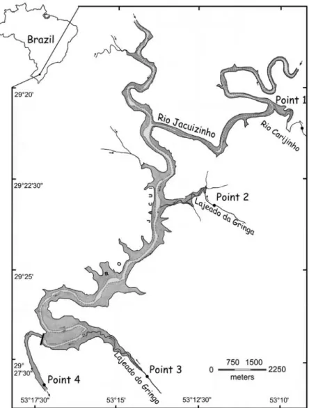 Fig. 1. Map of the study site, indicating the four sampling points in the River Jacuí middle section and in three tributaries, State of Rio Grande do Sul (RS)