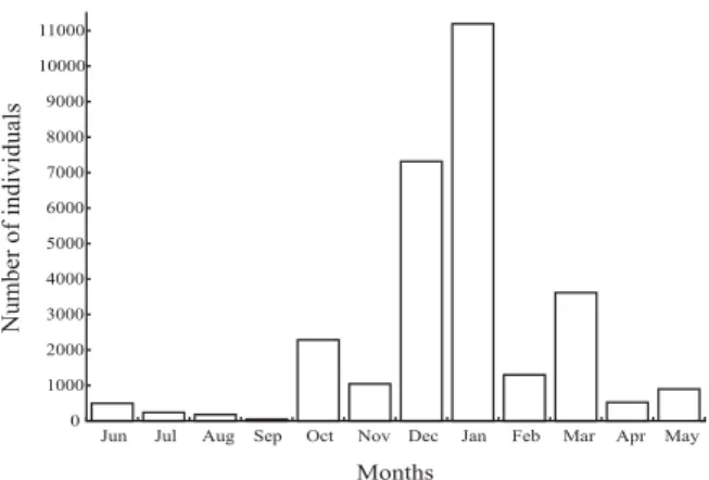 Table I. Physical characterization of the four sampling points in the Jacuí River and three affluents, Rio Grande do Sul, studied between June 2001 and May 2002.