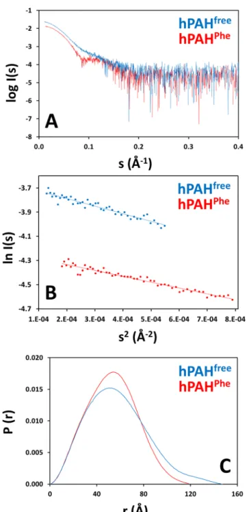Figure 3.  SAXS analysis of hPAH free  (non-incubated; blue) and hPAH Phe  (incubated with 1 mM l-Phe; red)