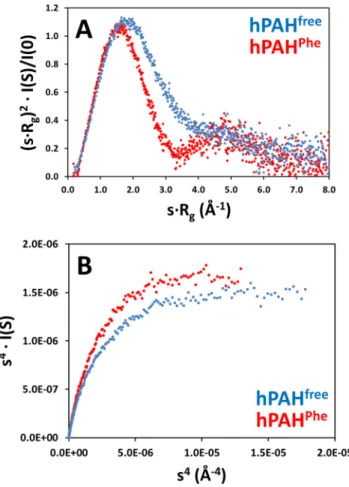 Figure 4.  Analysis of flexibility versus conformational changes. Panel A, dimensionless Kratky plots (blue, non- non-incubated hPAH; red, l-Phe-non-incubated hPAH)