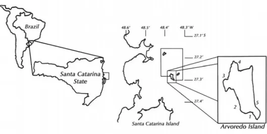 Fig. 1. Geographic location of Arvoredo Island (SC, Brazil). Numbers indicate plankton sampling sites (1, Baía do Farol; 2, Saco do Batismo; 3, Rancho Norte; 4, Saco d’Água; 5, Saco das Balas)