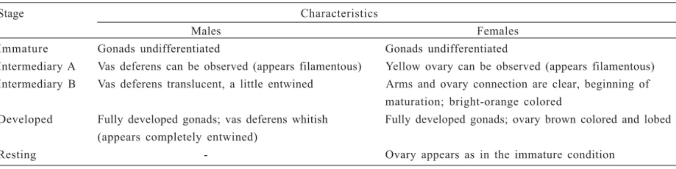Table I.  Armases rubripes (Rathbun, 1897) from Sahy River estuary: characteristics of the five gonadal stages of males and females.
