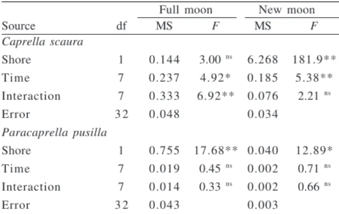 Table I. Results of ANOVA comparing diel variation in densities of caprellid amphipods associated with Sargassum stenophyllum at two shores in Southeastern Brazil, in two phases of the moon (df, degrees of freedom;  F, ANOVA F-test; MS, mean square;  ns , 