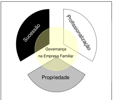 Figura 7 – A governança e os eixos temáticos 