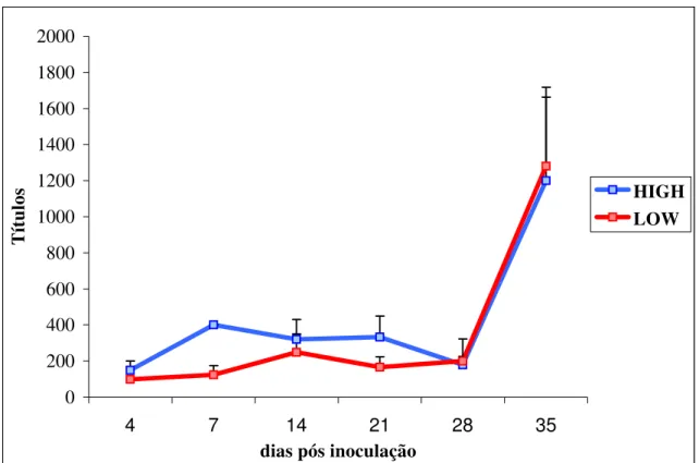 Figura 2. Títulos de anticorpos detectados pelo teste de aglutinação microscópica frente ao antígeno de Leptospira interrogans sorovar pomona, em camundongos High e Low, inoculados com 2x10 7 leptospiras/ml.