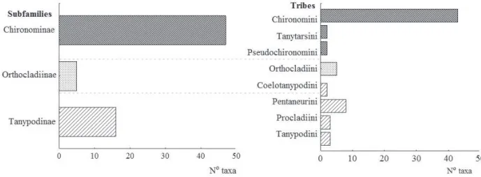 Fig. 2. Number of taxa of Chironomidae for each subfamily and tribe. 