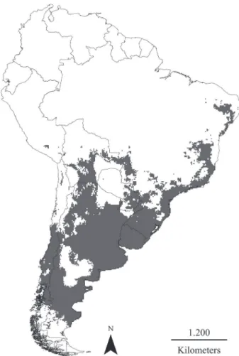 Fig. 3. Potential distribution model for Galictis cuja (Molina, 1782) visualized across South America (in gray).