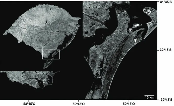 Fig. 1. Location map of the study area, municipality of Rio Grande, state of Rio Grande do Sul, southern Brazil (1, restinga peat forest; 2, estuarine  island).