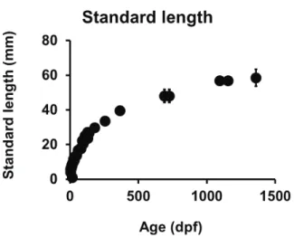 Fig. 1. Standard length (SL) of Corydoras aff. paleatus (Jenyns, 1842) as  a function of age