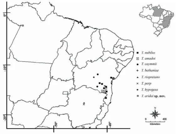 Fig. 9. Distribution map of the species of Tmesiphantes.