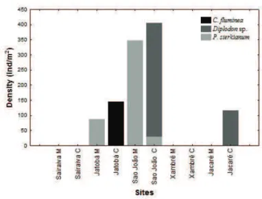 Fig. 5. Mean density of freshwater bivalves from the studied lakes in the Ilha Grande National Park, state of Paraná, Brazil (C, center; M, margin).