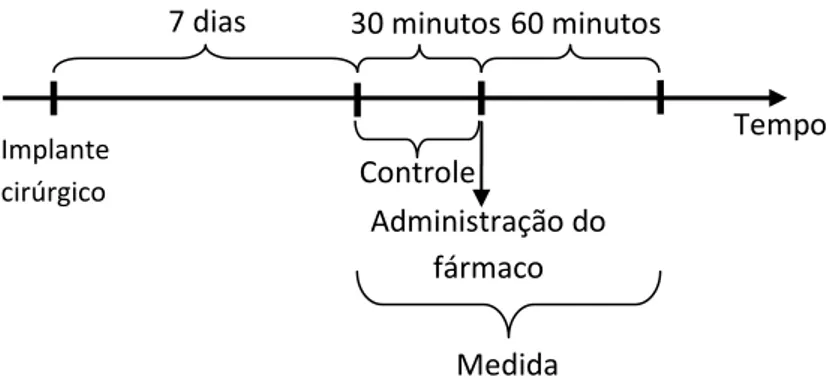 Figura 9: Sequência experimental com administração de droga. Controle 