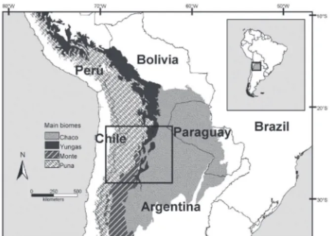 Fig. 1. Study region. The study region, Northwestern Argentina, is framed  on a map that includes central and northern Argentina and Chile, southern  Peru, Bolivia, Paraguay, and southern Brazil