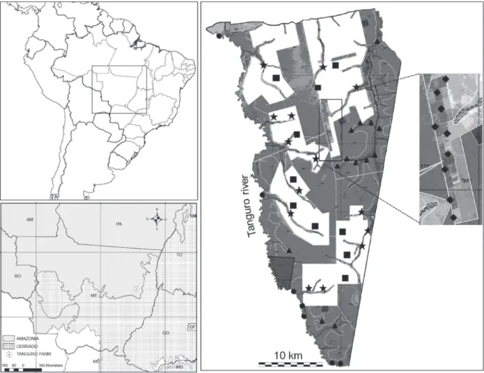 Fig. 1. Tanguro farm, Mato Grosso, Brazil (triangles, Preserved gallery forest (PGF); Stars, Highly anthropogenic gallery forest (HAG), adjacent to  soybean plantations; Squares, Soybean plantation (SP), areas with no permanent vegetation; diamond, Hevea b