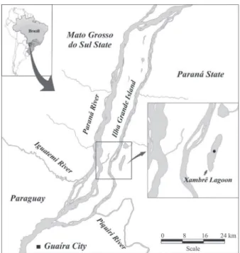 Fig. 1. Location of the sampling site in the Xambrê Lagoon, Parque  Nacional de Ilha Grande (Altônia, Paraná, Brazil).