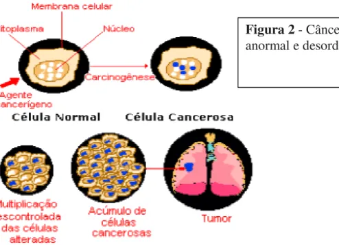 Figura 2 - Câncer:crescimento  anormal e desordenado