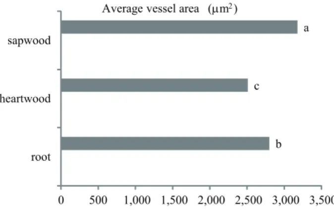 Figure 2. Variations in vessel features among the root and stem  (heartwood  and  sapwood)