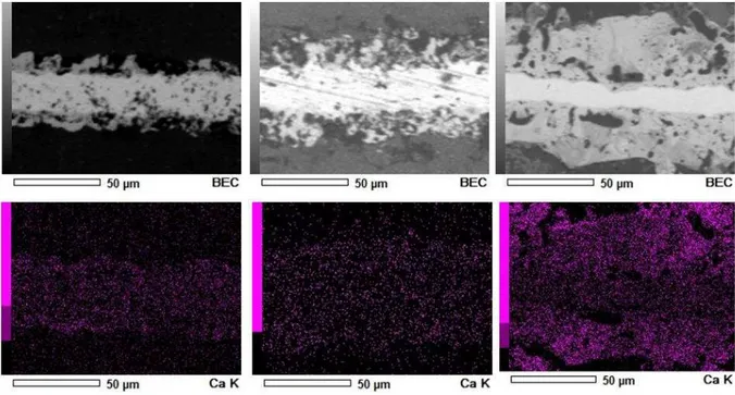 Figura 16: Mapeamento por EDS de cortes transversais de amostras tratadas por 300 s em  350, 450 e 500V onde se pode observar a distribuição de cálcio