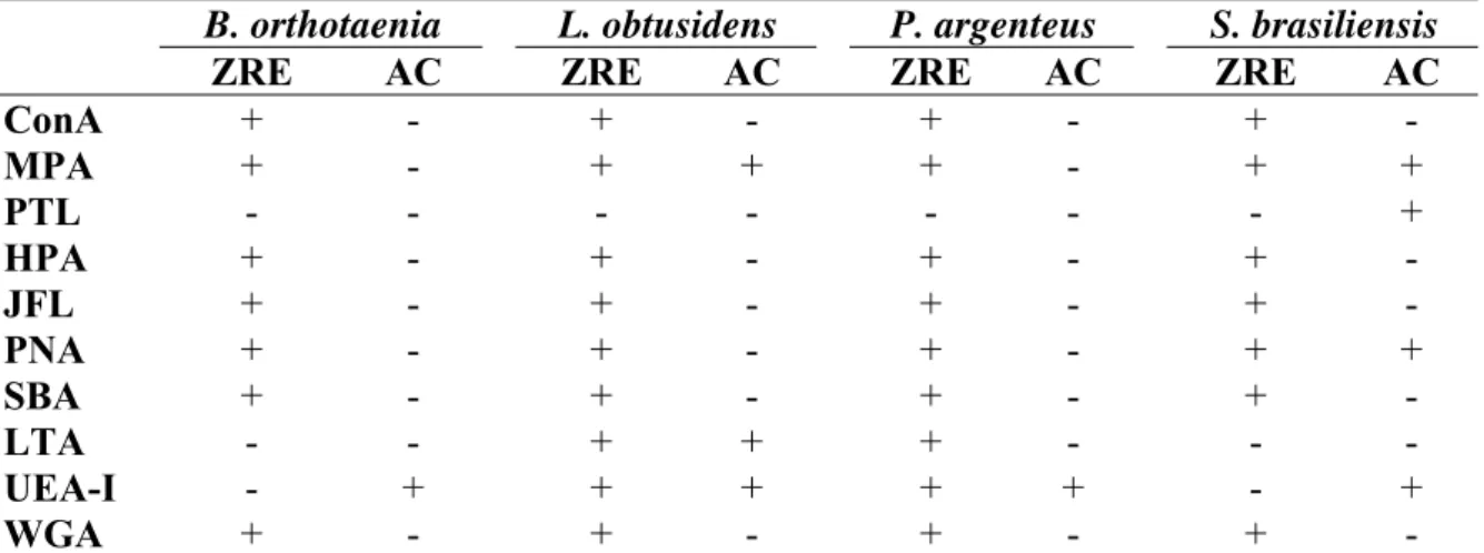 Tabela III: Reatividade das lectinas na zona radiata externa (ZRE) e alvéolos corticais  (AC) de ovócitos de quatro espécies de peixes de interesse comercial da bacia do rio São  Francisco