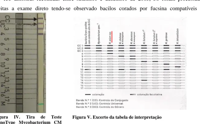 Figura V. Excerto da tabela de interpretação Figura IV. Tira de Teste 