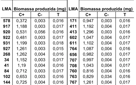 Tabela 3 - Fungos selecionados e respectivos valores de biomassa seca.  