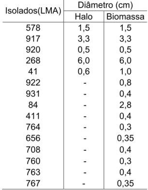 Tabela 4 – Medidas em cm de formação halo e biomassa no meio contendo DCPIP.   Isolados(LMA)  Diâmetro (cm)  Halo   Biomassa   578  1,5  1,5  917  3,3  3,3  920  0,5  0,5  268  6,0  6,0  41  0,6  1,0  922   -  0,8  931   -  0,4  84   -  2,8  411   -  0,4  