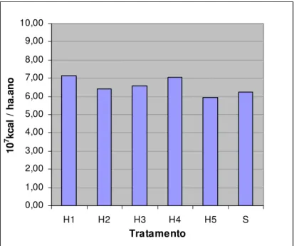 Figura 8 - Incremento médio anual de energia (IMAE) em kcal/ha.ano entre os tratamentos