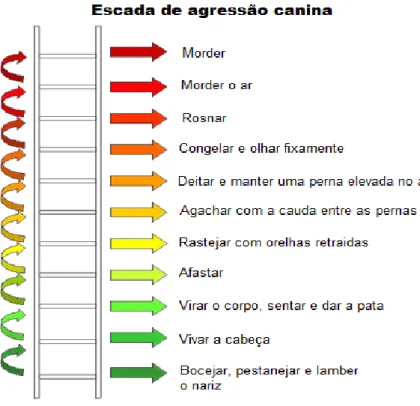 Figura 1: “The  Ladder  of  Agression” – Como um cão reage ao stresse ou a uma ameaça