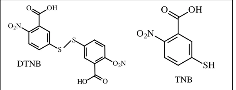 Figura 7: Estruturas moleculares do DTNB e do TNB SOOHO2NSHOOO2NDTNB TNB SHOOHO2N