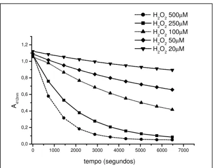 Gráfico 5: Cinéticas de oxidação do TNB 80µM por diferentes concentrações de  peróxido de hidrogênio em função do tempo (t=2horas)  
