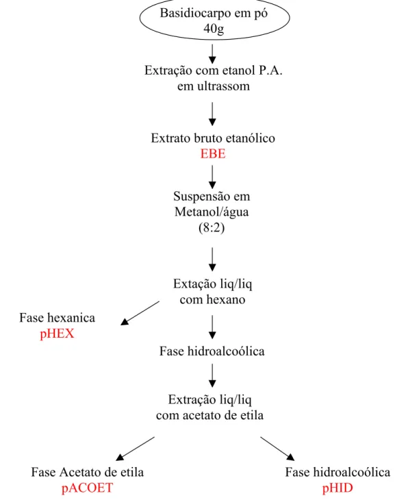 Figura 3: Identificação das amostras de Agaricus blazei Murril usadas  para avaliar capacidade antioxidante