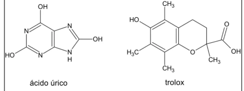 Figura 5: Estruturas moleculares dos padrões antioxidantes. 