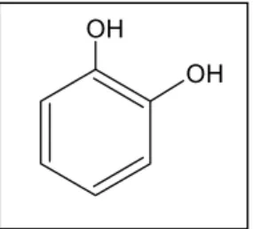 Figura 10: Estrutura molecular do catecol. CH3OOH