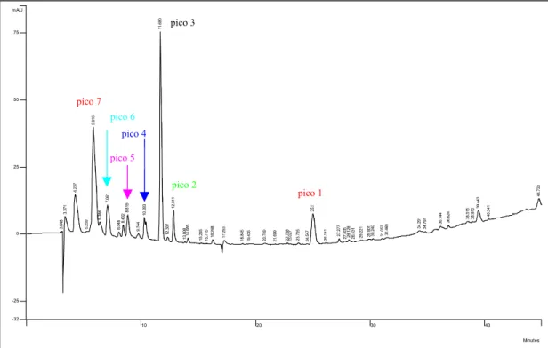 Figura 11: Cromatograma do extrato bruto etanólico da amostra em pó de Agaricus blazei Murril, via  cromatografia líquida de alta eficiência (CLAE-DAD)