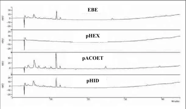 Figura 12: Cromatogramas das amostras de Agaricus blazei Murril, via cromatografia líquida de alta 