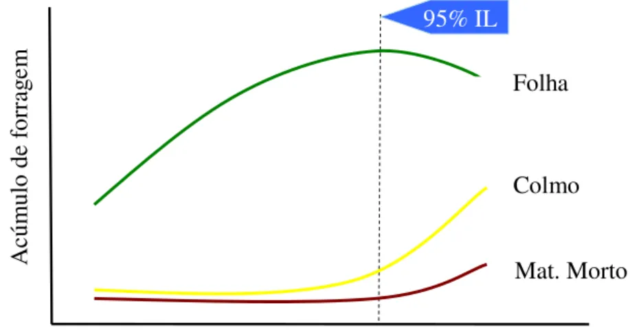 Figura 4. Dinâmica do acúmulo de forragem. (Adaptado de Da Silva e Nascimento Jr., 2008) 