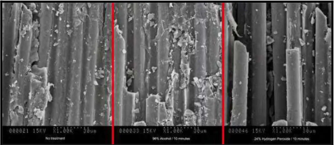 Figure 5: SEM micrographs of specimens posts examined after different superficial treatment  (1000X)