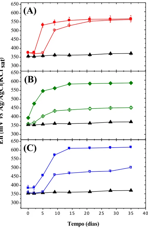 Figura 10 - Variação do potencial de óxido-redução no ensaio de biolixiviação para linhagens  adaptadas  (símbolos  fechados),  não  adaptadas  (símbolos  abertos)  e  controle  abiótico  (triangulo)