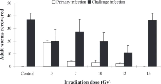 Fig. 2: IgG antibody responses from sera samples of rats infected with irradiated metacercariae (MC) of Clonorchis sinensis (n = 9/