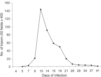 Fig. 1: parasitemic profile from Calomys callosus infected with the Colombian strain of Trypanosoma cruzi: parasitemic peak occurred at the 14th day post-infection with a rapid decrease until negativation.