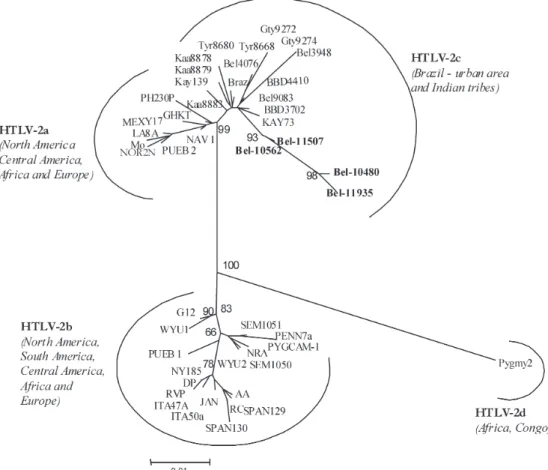 Fig. 2: unrooted phylogenetic tree, showing the evolutionary relationship of human T-cell lymphotropic virus 2 strains described thus far including newly sequenced isolates from the present study (Bel-10480, Bel-10562, Bel-11507, and Bel-11935)