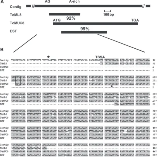 Fig. 2: schematic representation and comparison of Contig 4796, TcML8, TcMUC8, and Trypanosoma cruzi epimastigote expressed sequence tag (EST) sequences