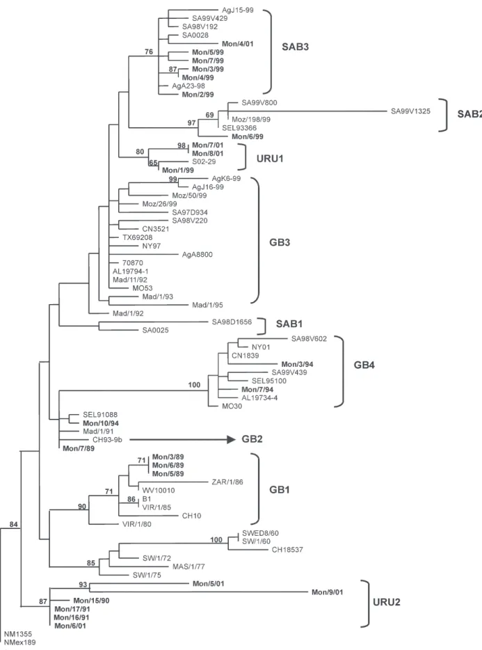 Fig. 3:  phylogenetic analysis of the G gene of group B human respiratory syncytial virus