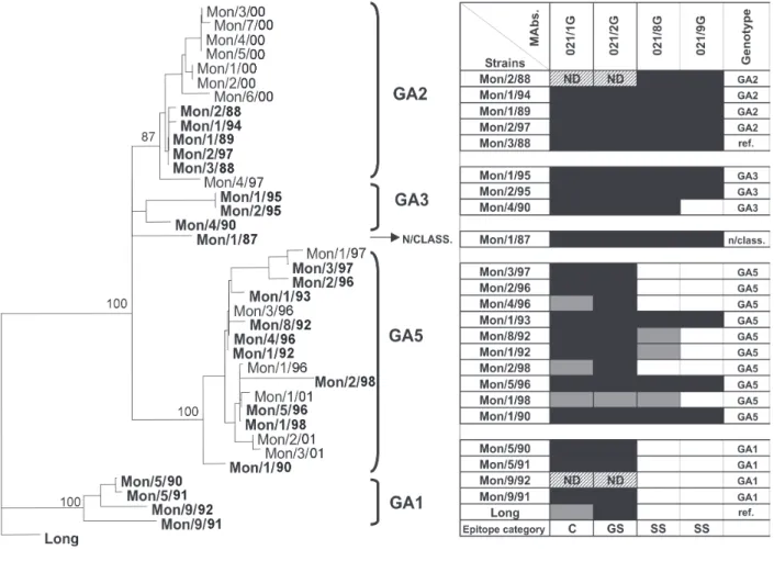 Fig. 4:  phylogenetic and antigenic analysis of group A human respiratory syncytial virus