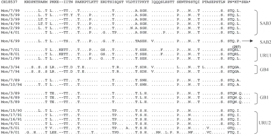 Fig. 6: alignment of deduced amino acid sequences of the C-terminal third of group B human respiratory syncytial virus G glycoprotein (Montevideo, Uruguay)