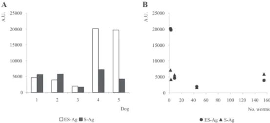 Fig. 4-A: ELISA results for different antigenic extracts using sera from dogs naturally infected with Echinococcus granulosus; B: ELISA results for different antigenic extracts considering the worm burden found at autopsy
