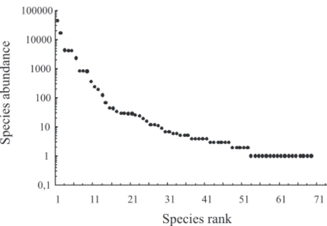 Figure 1.  Rank-abundance distribution for the total data of drosophilids in mangrove forests of Santa Catarina Island.