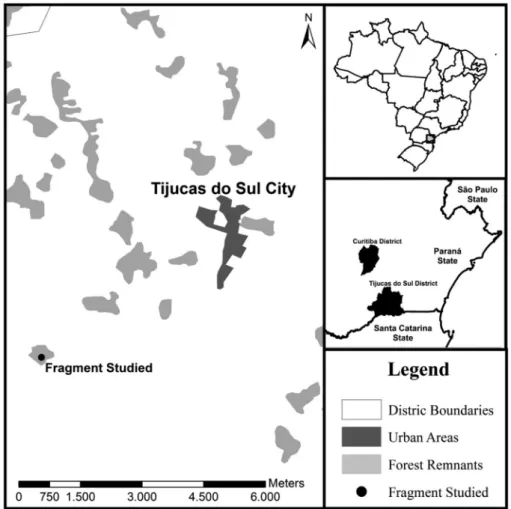 Fig. 1. Localization of the fragment studied (black point), in relation to Tijucas do Sul city, and District of Curitiba, state of Paraná, Brazil.