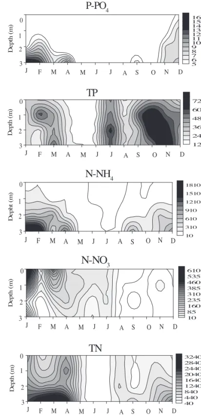 Figure 3. Depth and time diagram of total and dissolved nutrient  isolines (μg L -1 ) at the Ninféias Pond during the period  January-December 2000.